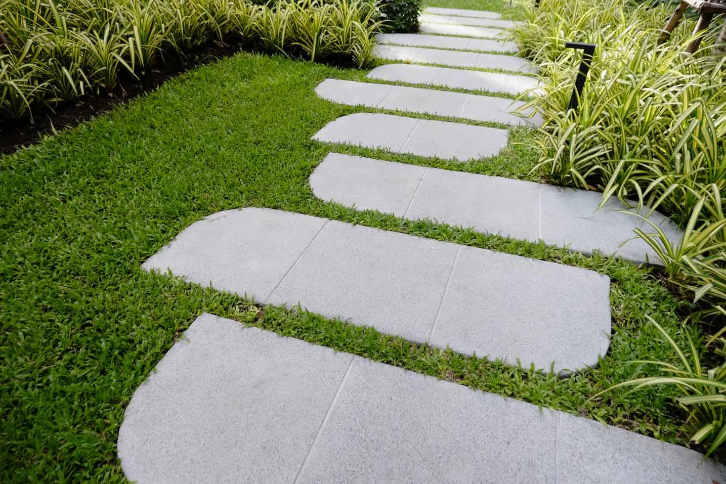 Concrete garden walkway in Sydney